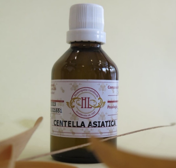 CENTELLA ASIATICA