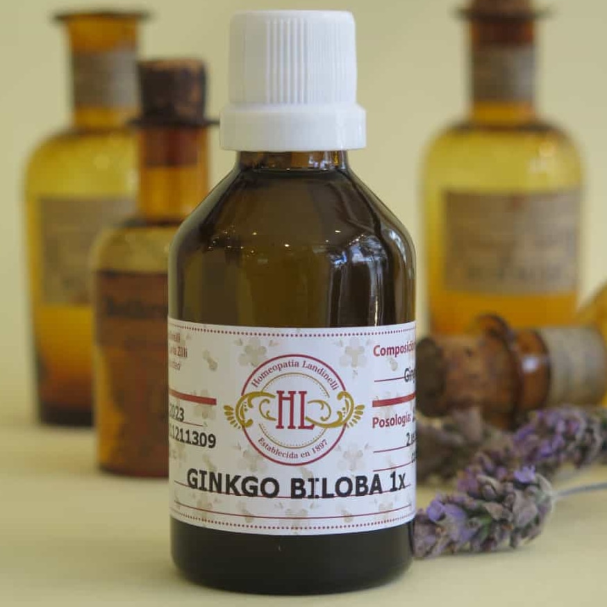 GINKGO BILOBA