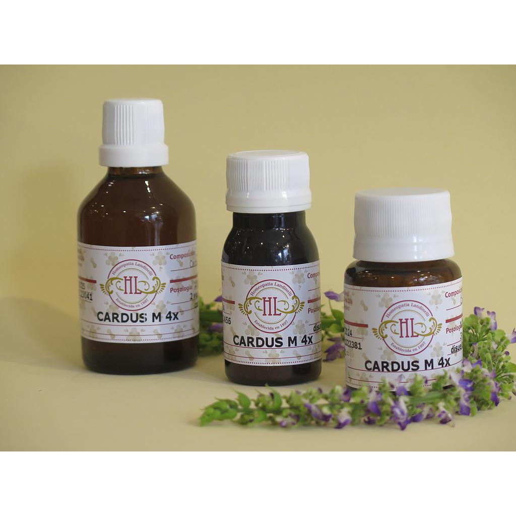 CARDUS M4X